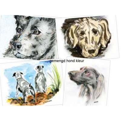 gemengd hond kleur